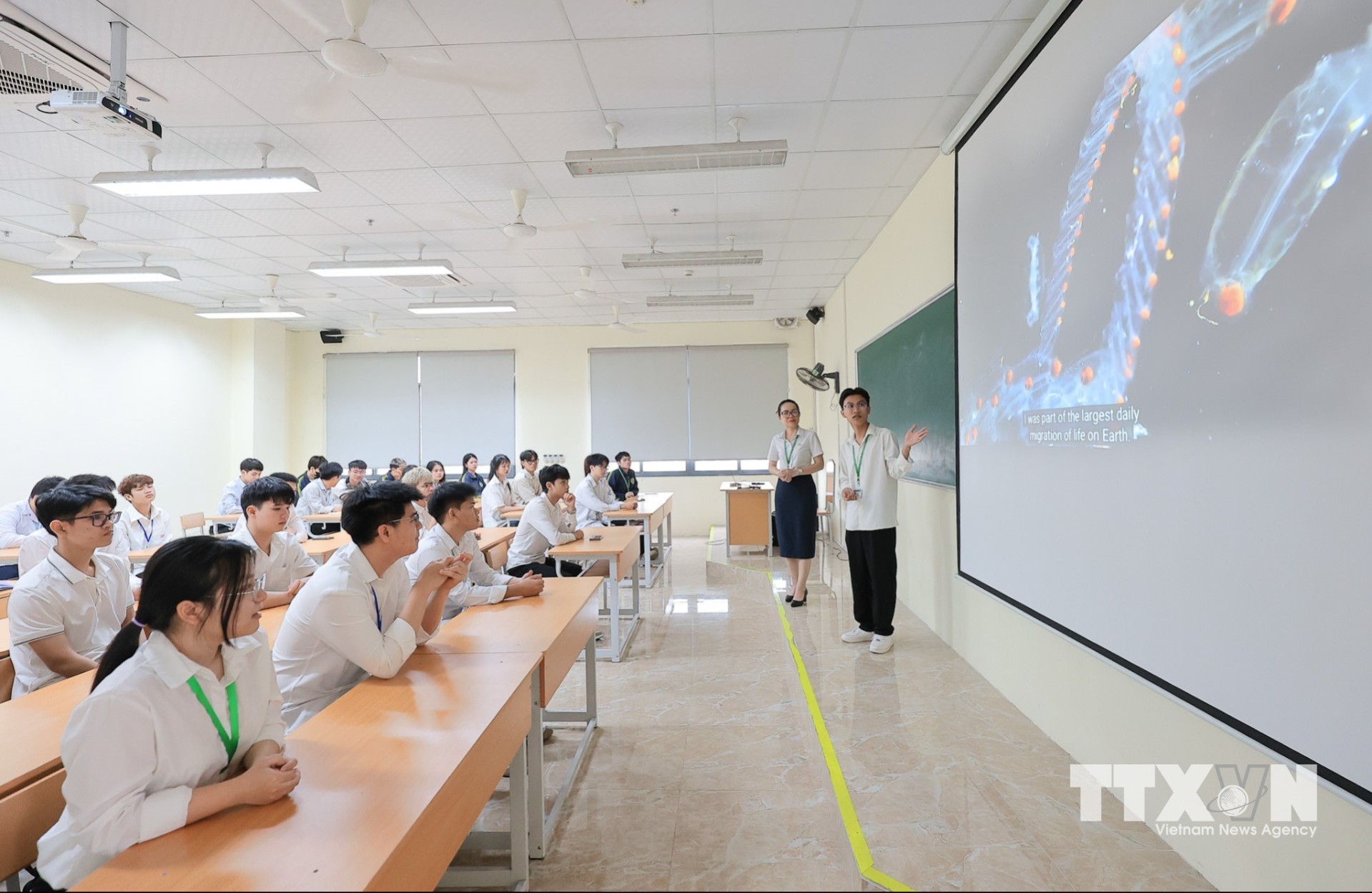 Tiết học thuyết trình của sinh viên Khoa thuỷ sản tự tin trình bày, kết hợp với hình ảnh trực quan để làm rõ nội dung. (Ảnh: Lê Đông/TTXVN)
